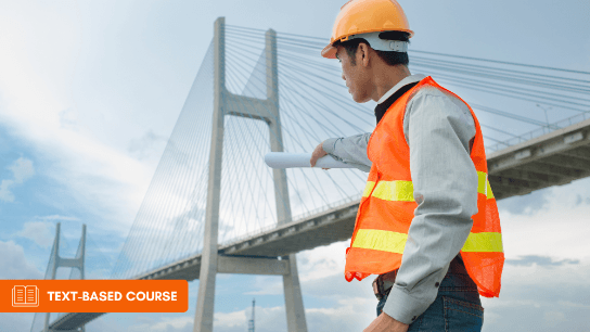 Steel Bridge Design: Design for Constructability