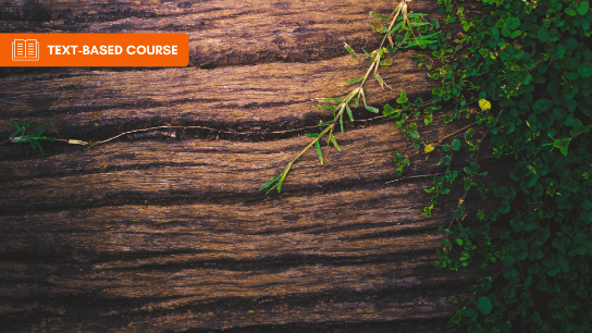 Wood as a Sustainable Material