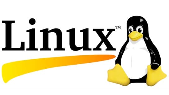 Linux Command Line Essentials - Become a Linux Power User!